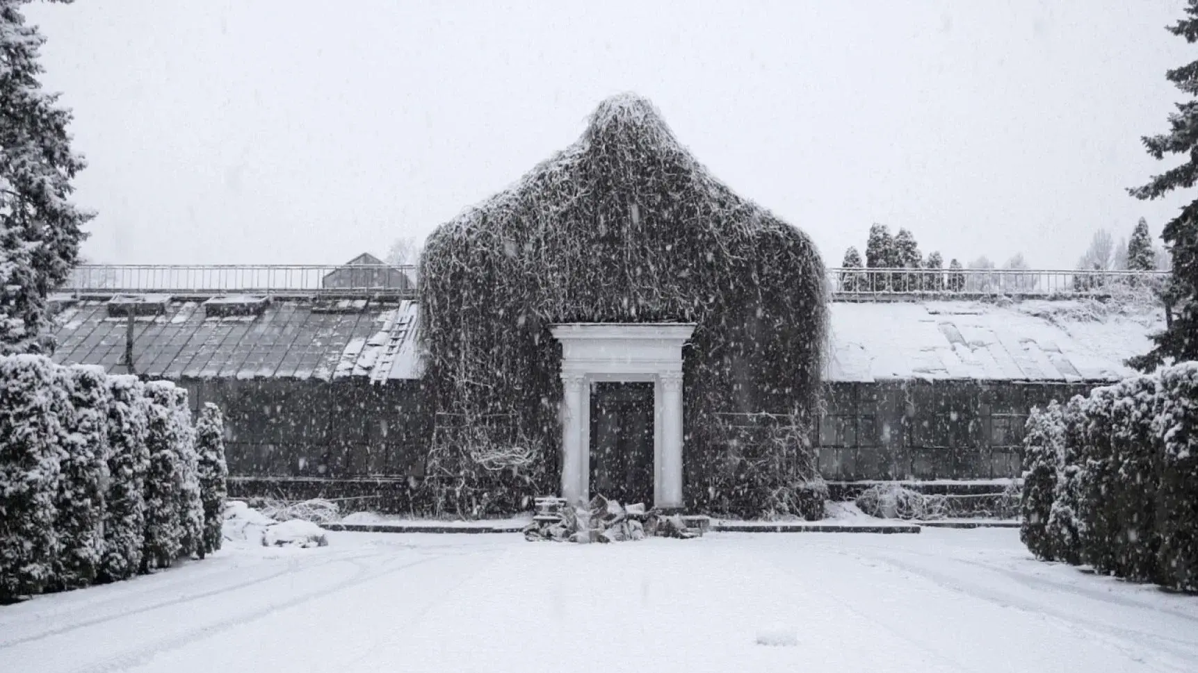 The Winter Garden’s Tale