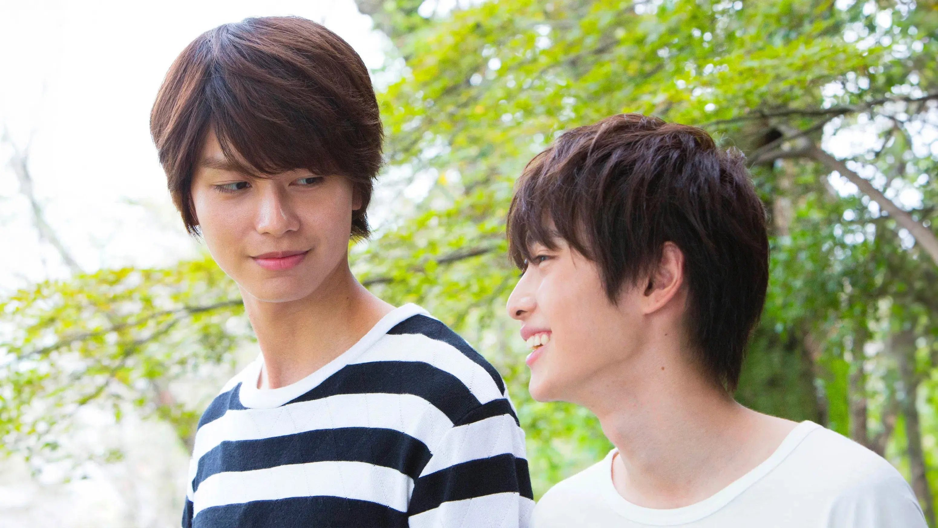 Silhouette of Your Voice