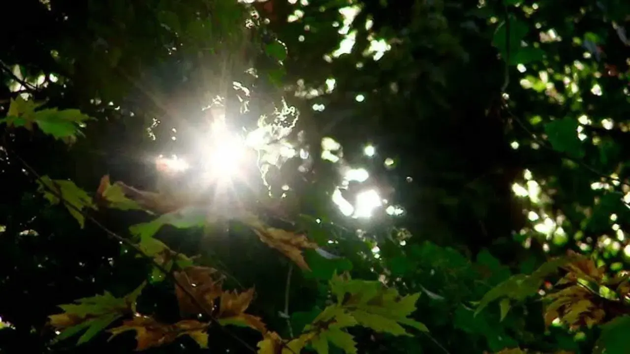 Golden Times – Cassandra’s Treasure