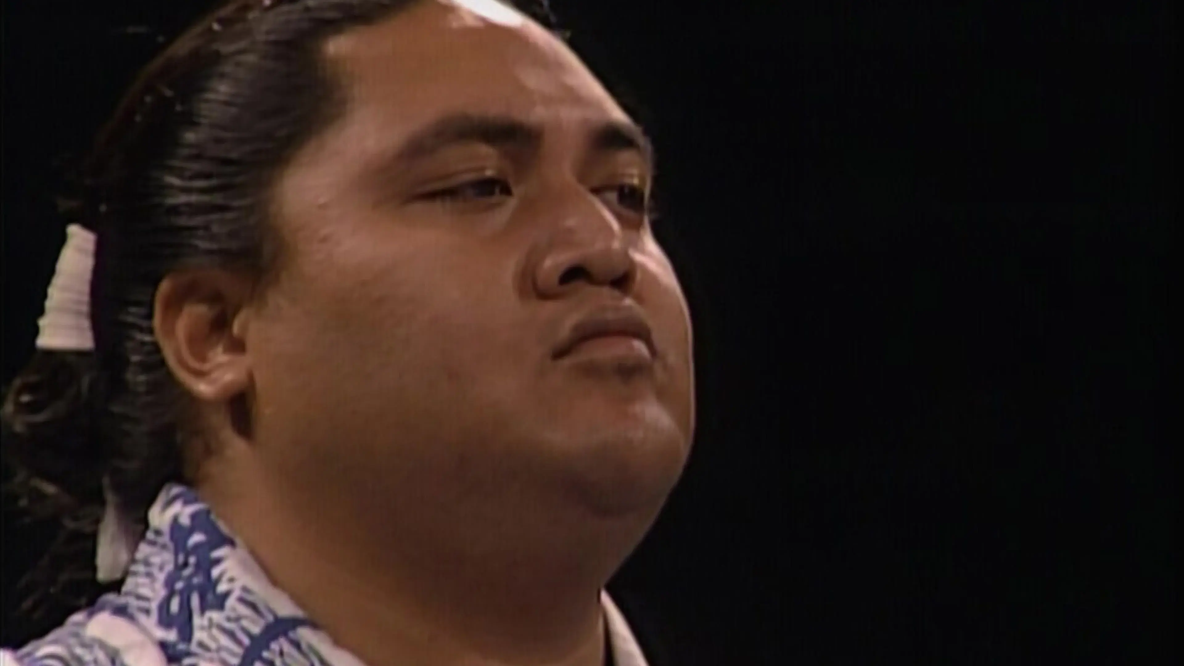 WWE Bashed in the USA