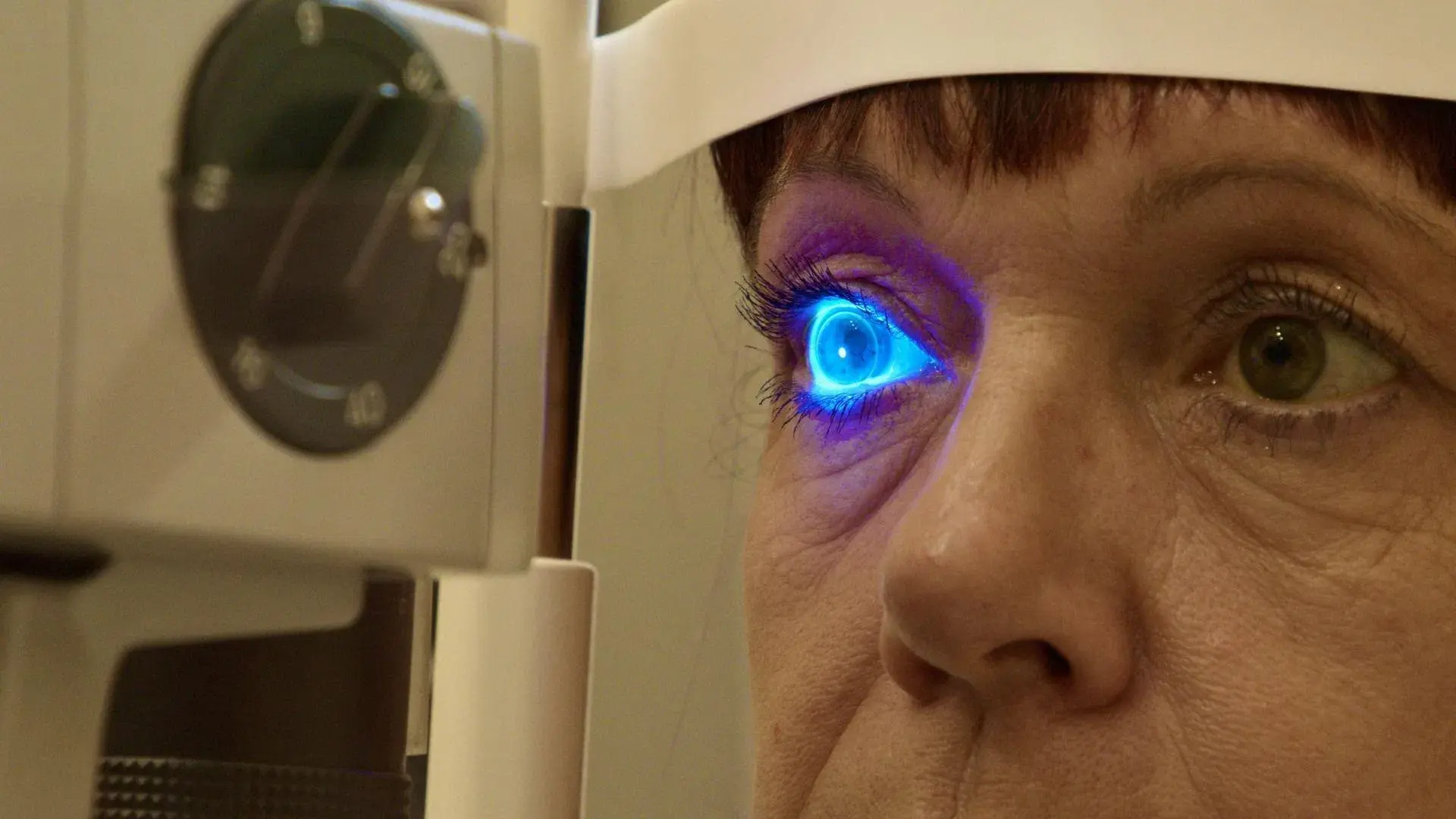 Das Auge - Forschung sehen