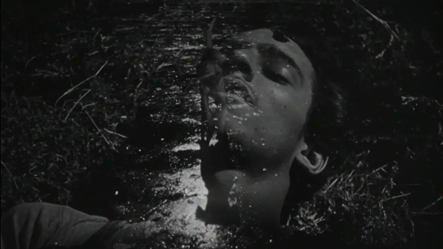 The Young and the Damned