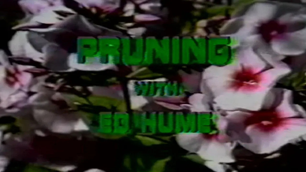 Pruning with Ed Hume