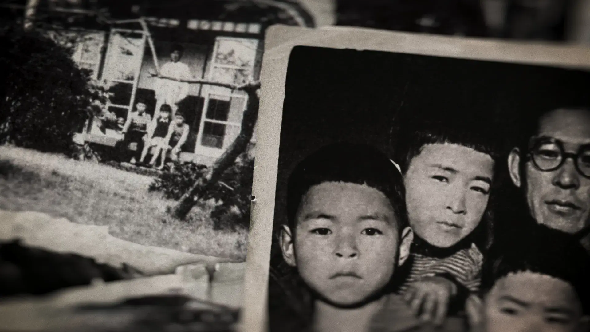 Miyazaki, Spirit of Nature