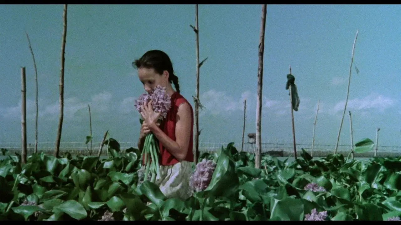 A Speck in the Water