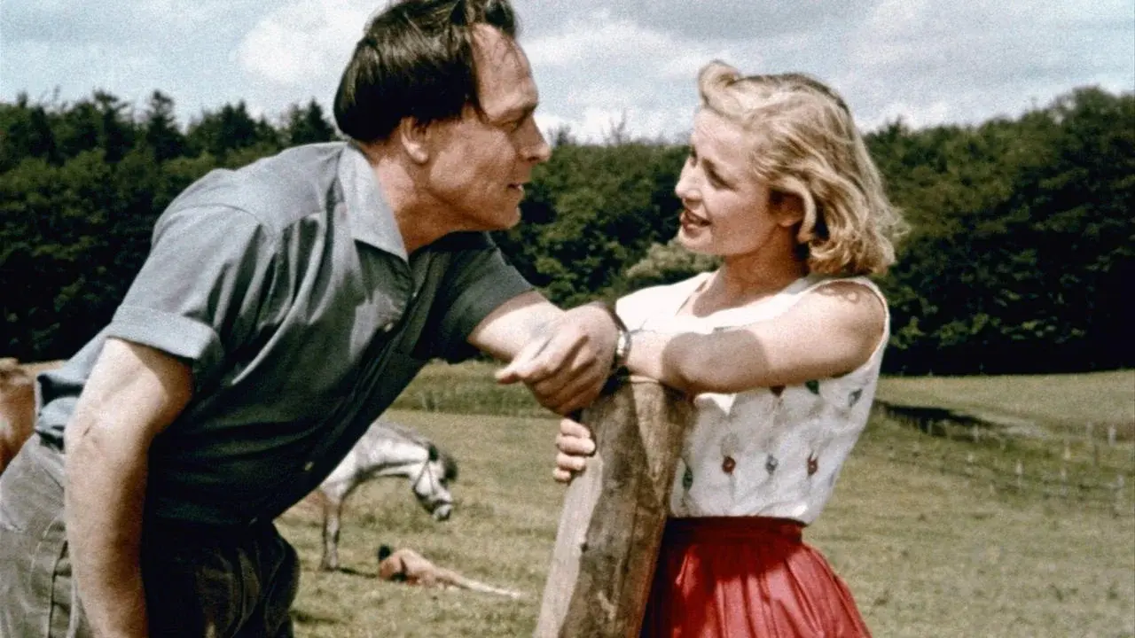 Hochzeit auf Immenhof