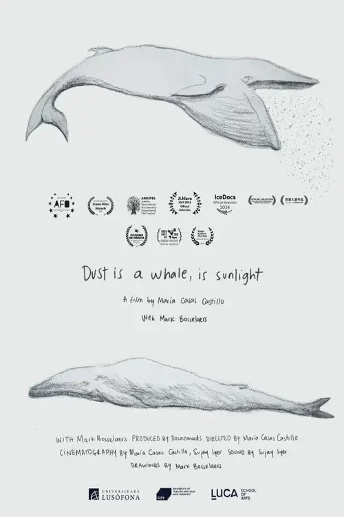 Dust is a Whale, is Sunlight