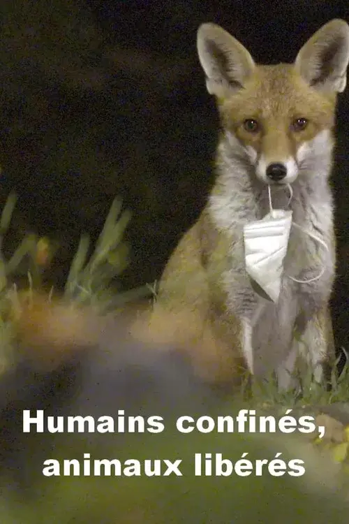 Menschen eingesperrt, Tiere befreit