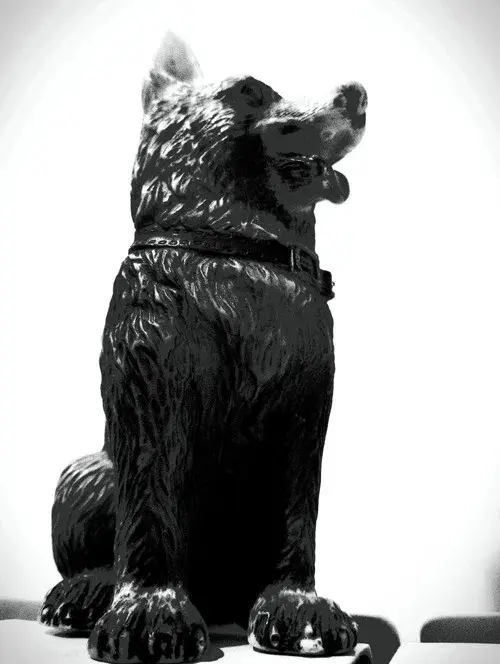 The Dog of Sarandi Alley